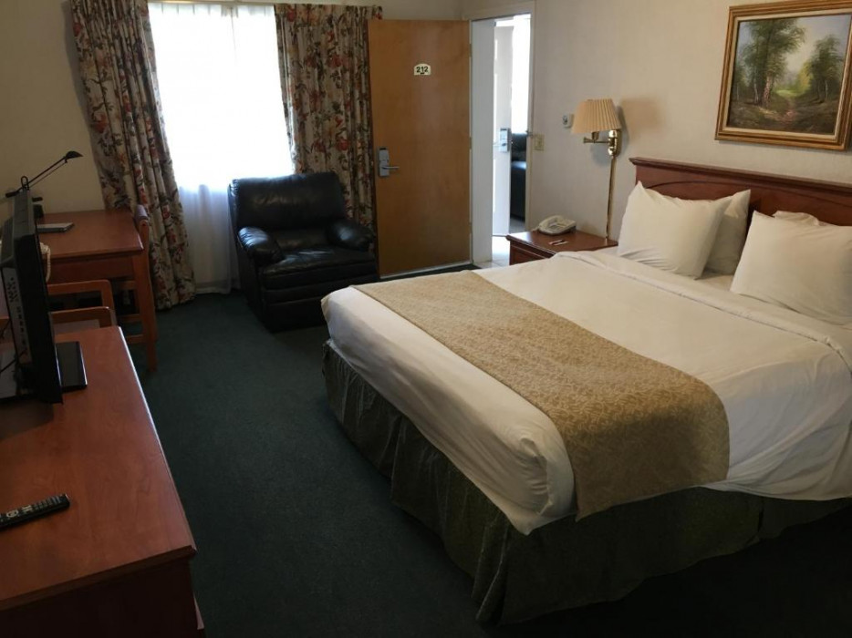 Standard Room - 1 King Bed